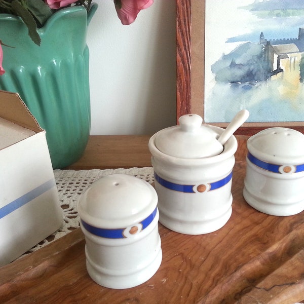 Stylish vintage French DESHOULIERES white and blue Limoges porcelain condiment set cruet - salt pepper shakers & mustard pot w/ spoon, boxed