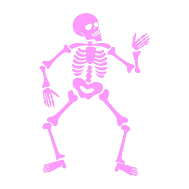 Скелет мультяшный картинки