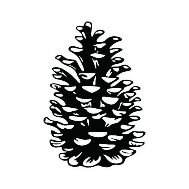 Download Pine Cone Pack Cuttable Design PNG DXF SVG & eps File for ...