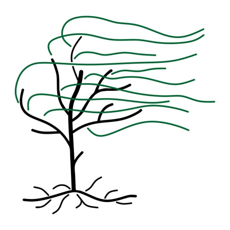 Download Willow Tree Cuttable Design PNG DXF SVG & eps File for | Etsy