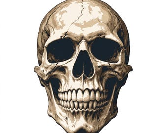 6 Layer Skull art airbrush Stencil set template