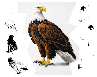 6 Layer Eagle art airbrush Stencil set template re useable many times