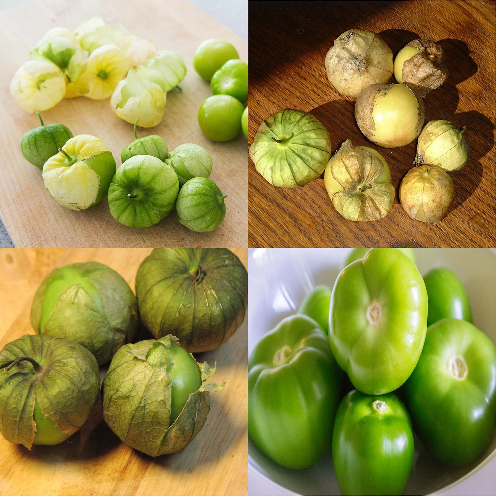 Tomatillo Verde / tomatillos Physalis philadelphica 100mg Etsy