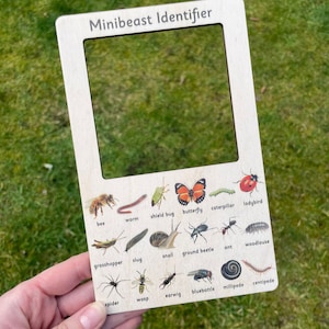 Wooden Minibeast Identifier for Kids Montessori Learning Tool for Children Bugs Insects Hunting Creepy Crawlies