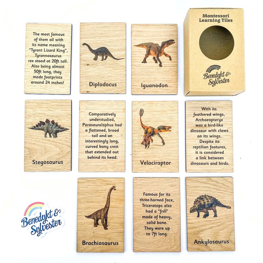 Montessori Monday - Montessori-Inspired Dinosaur Activities Using