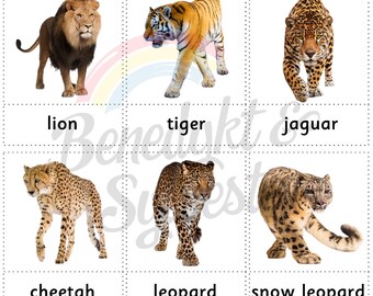 Prophila Collection – 25 Verschiedene Tiger-Briefmarken, Sammler-Set Mit Raubkatzen-Motiven