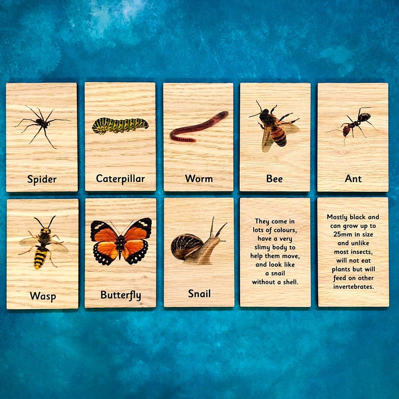 Montessori Wooden Minibeasts Insects Learning Tiles 10 Card Set (like 3 ...