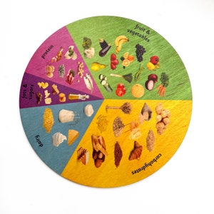 Groupes alimentaires Catégories Alimentation saine Roue en bois Montessori Waldorf Outil d’apprentissage pour enfants