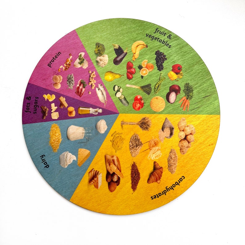 Food Groups Healthy Eating Categories Wooden Wheel Montessori Waldorf 