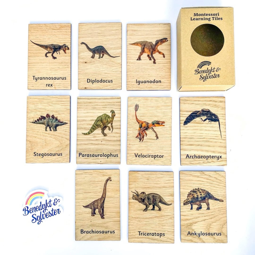 Montessori Wooden Dinosaur Learning Tiles 10 Card Set (like 3 Part ...