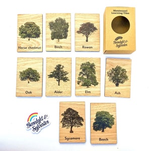 Montessori Tuiles d’apprentissage - Arbres et feuilles