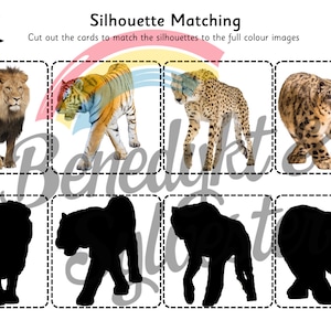 Big Cats Montessori Activities 3 Part Cards Matching Fun Engaging Printable Worksheets Educational Files