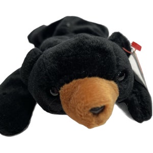 TY Beanie Babies Collection Black Bear Blackie DOB July 15 1994