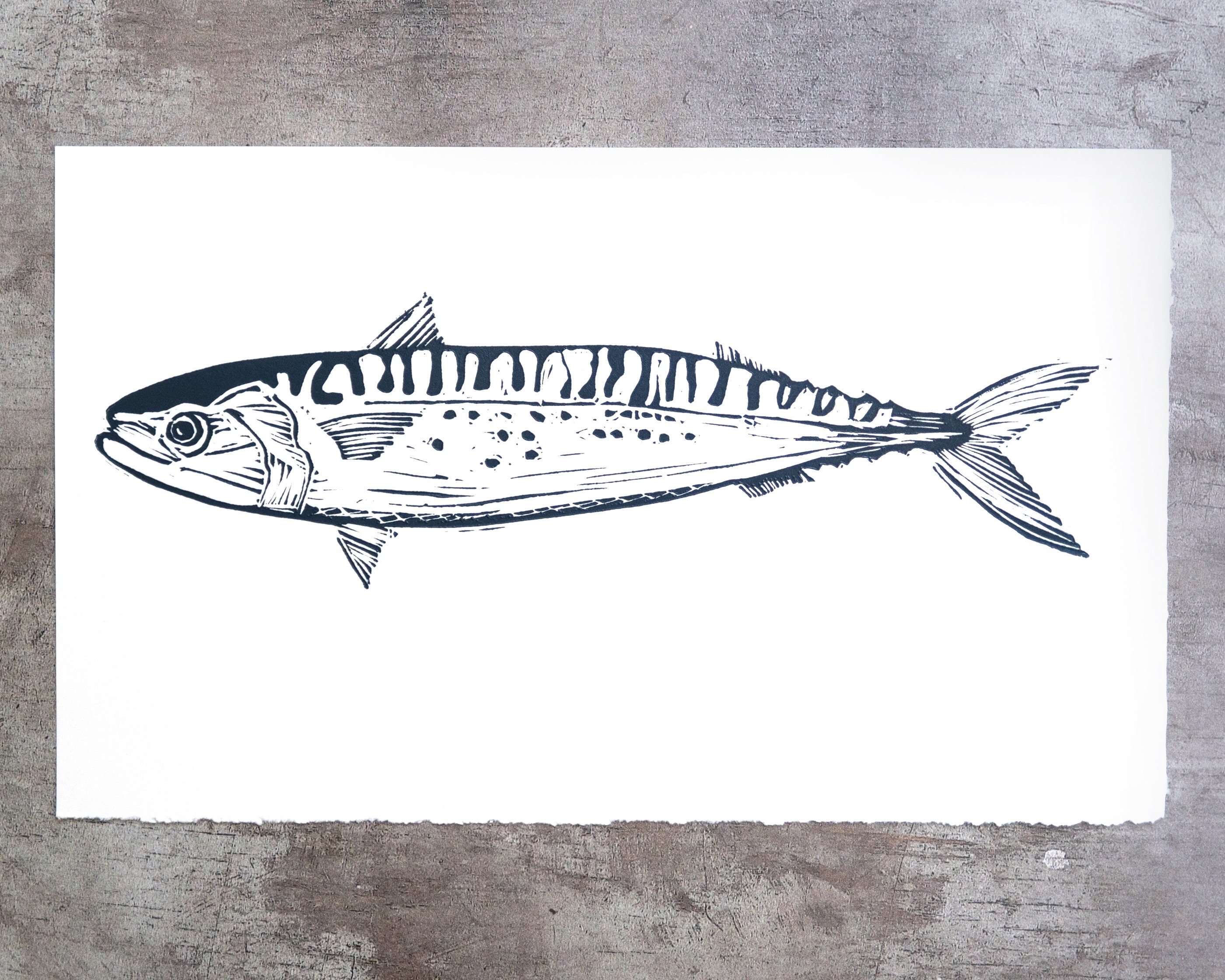 Fish Fishing Food and Drink Limited Edition Lino Print of Mackerel ...
