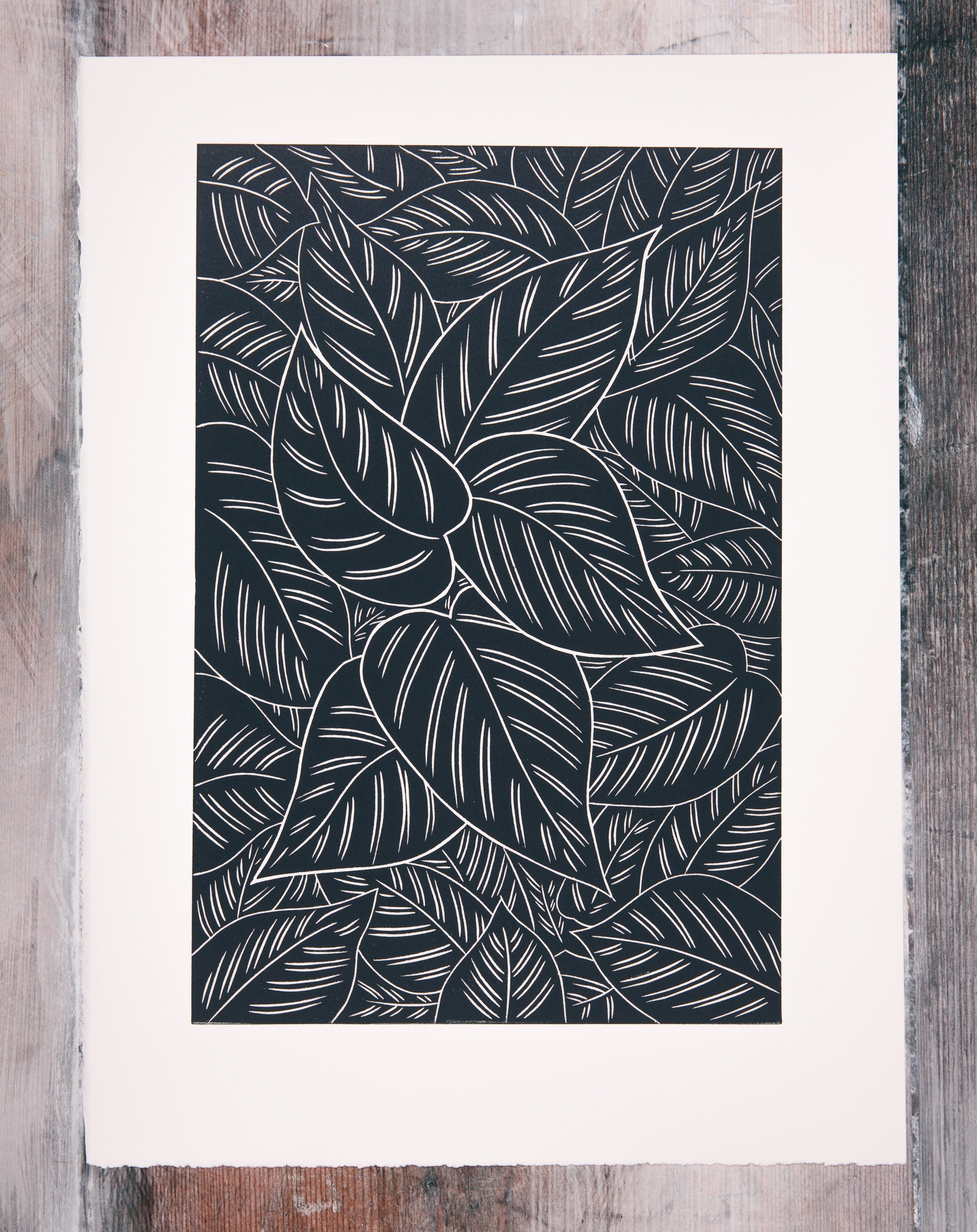 Calathea Leaves Close up Lino Print - Etsy