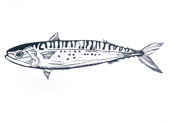 Limited Edition Lino Print of Mackerel. Fish, Fishing, Cornwall, Coast, Food and Drink
