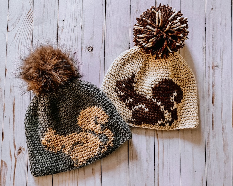 Gone Squirrelly Beanie, crochet pattern, squirrel, fall crochet, bulky beanie, crochet hat, accessories, lambent crochet, woodland crochet image 1