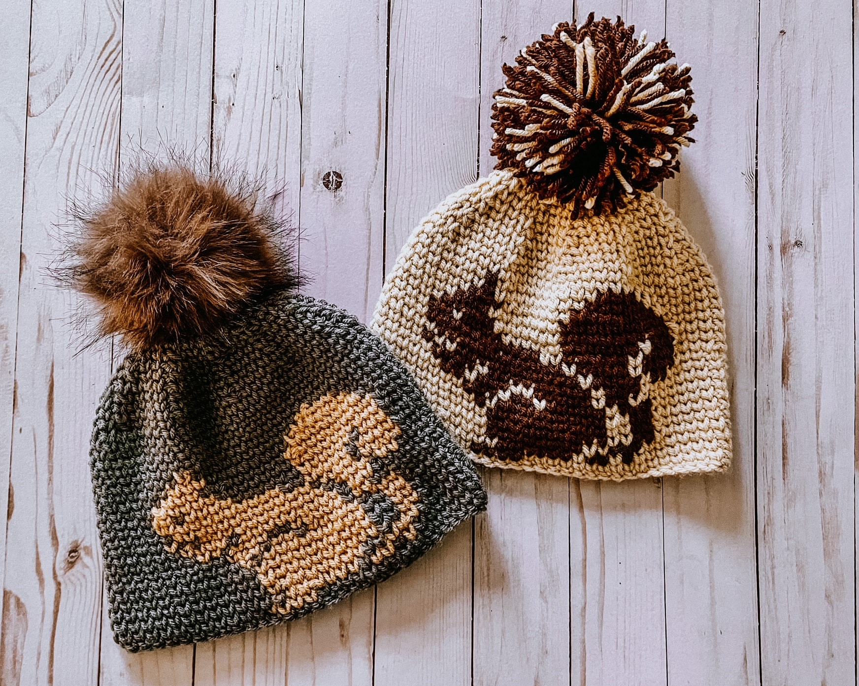 Gone Squirrelly Beanie, Crochet Pattern, Squirrel, Fall