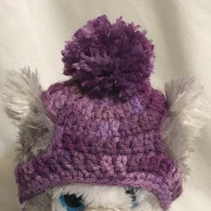 Dog Hat, Small or Medium  Pet Hat, Crochet Dog Hat, Knitted Dog Hat, Color Purple Mix