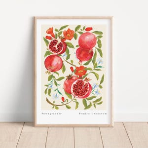 Pomegranate Fine Art Print - Botanical Fruit Wall Art Print- Kitchen & Dining Decor- A3, A4, A2