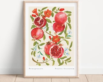 Pomegranate Botanical Art Print: Vintage Kitchen Decor