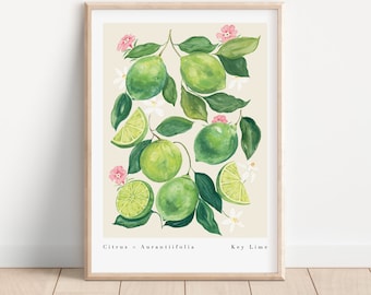 Key Lime Art print- Lime Fruit Wall Art - Lemon and Lime Print- Kitchen Fruit Prints-Citrus Wall Art