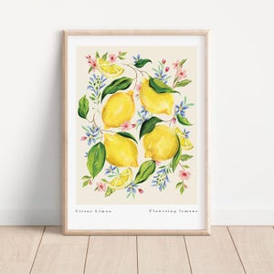 Citrus Lemon Fine Art Print | A4, A3, A2 Sizes |Lemon Botanical Fruit Artwork| Bright Kitchen & Dining Room Decor