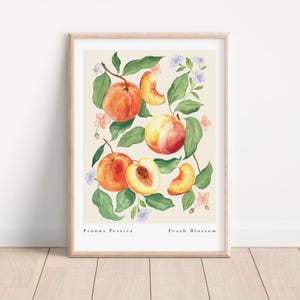 Peach Blossom Art Print: Botanical Kitchen Wall Decor