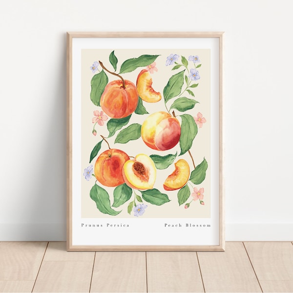 Peach Blossom Art Print - Botanical Fruit Wall Art- Kitchen Wall Print- Vintage Peach Fruit Print