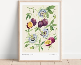 Passion Fruit Art Print - Fruit Wall Art Print- Kitchen Decor- Summer Fruits- Botanical Print A3, A4