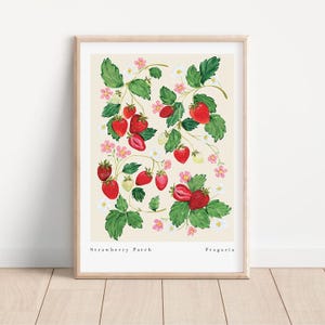 May include: A botanical illustration of a strawberry plant with red strawberries and pink flowers. The text "Strawberry Patch" and "Fragaria" is at the bottom of the print.