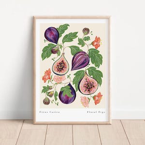 Floral Figs Fine Art Print: Elegant Botanical Kitchen Decor