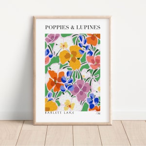 Stampa artistica di papaveri e lupini: decorazione murale con fiori di campo astratti e colorati