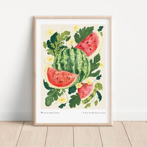 Watermelon Art Print - Fruit Wall Art Print- Kitchen Decor- Watermelon Summer Poster- Botanical Print A3, A4