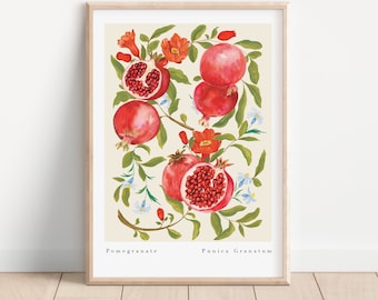 Pomegranate Art Print - Fruit Wall Art Print- Kitchen Decor- Summer Fruits- Botanical Print A3, A4