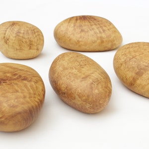 Set of 5 Locust Burl Wood Rocks! Wooden cairn style rock stack. Zen home decor. Open ended play objects. Decorative wood pebbles and stones.