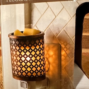 Pluggable Wax warmer