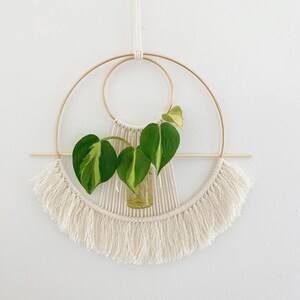 DIY Macrame Kit for Adults Beginners, 4 Macrame Plant Hanger Kit