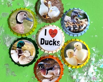 Duck, Ducks, Magnets, Magnet, Bottlecap Magnets, Bottlecap Magnet.