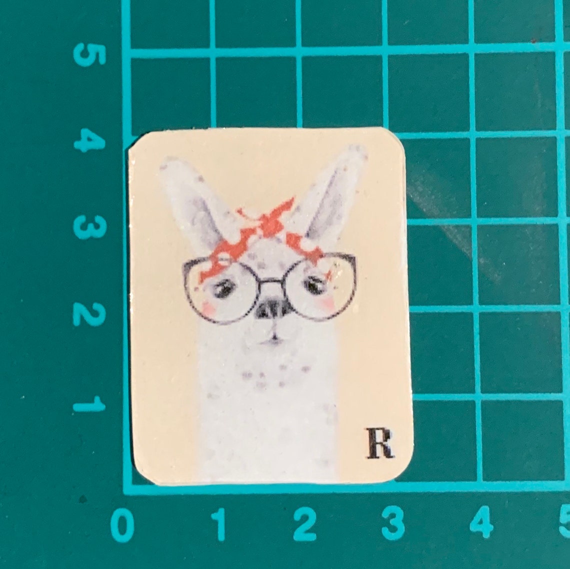 Llama Xray Markers Etsy