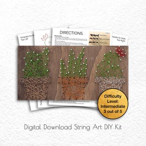 Puede incluir: Un kit de arte de cuerda de descarga digital que presenta tres plantas de cactus en macetas. El kit incluye una plantilla, instrucciones y un nivel de dificultad de 3 de 5, lo que indica un nivel de habilidad intermedio.