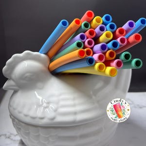 Può includere: Una statuetta di pollo in ceramica bianca con una base a forma di nido, che tiene un mazzo di cannucce di silicone riutilizzabili colorate. Le cannucce sono disposte a forma di arcobaleno, con cannucce rosse, arancioni, gialle, verdi, blu, viola e rosa.