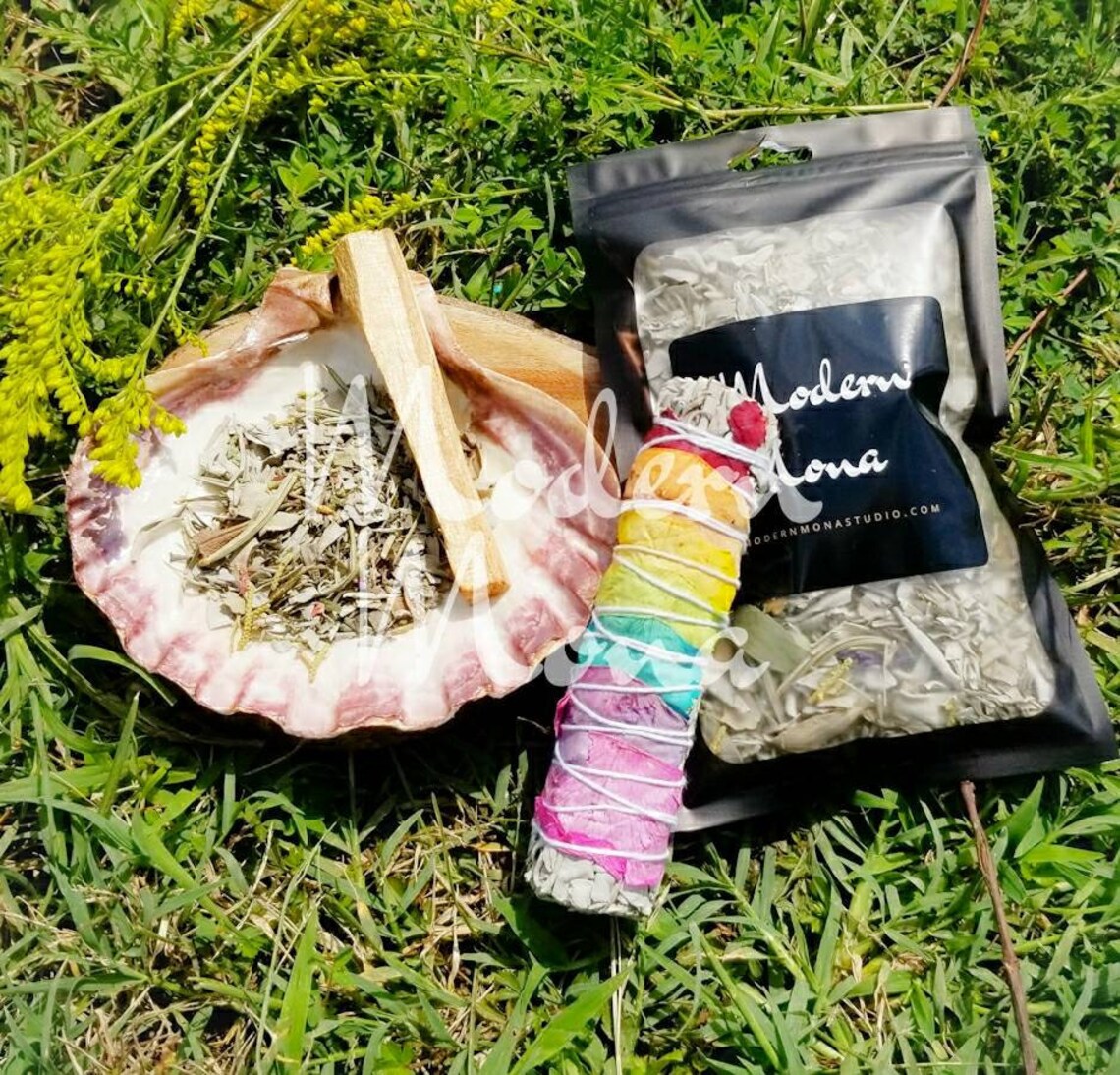 Smudging Starter Kit 7 Chakra Smudge Lion Paw Smudge Plate | Etsy