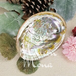 4&quot;- 5&quot; - Abalone Shell, Abalone Smudge Tray, Abalone Shell Smudge Tray, Abalone Shell
