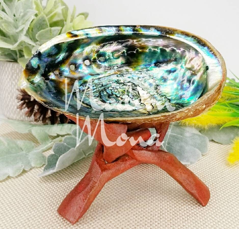 Abalone shell stand - .de