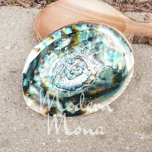 6&quot; - Large Abalone Shell, Abalone Smudge Tray, Abalone Shell Smudge Tray, Abalone Shell, Large Abalone Shell (Tripod Sold Separate)