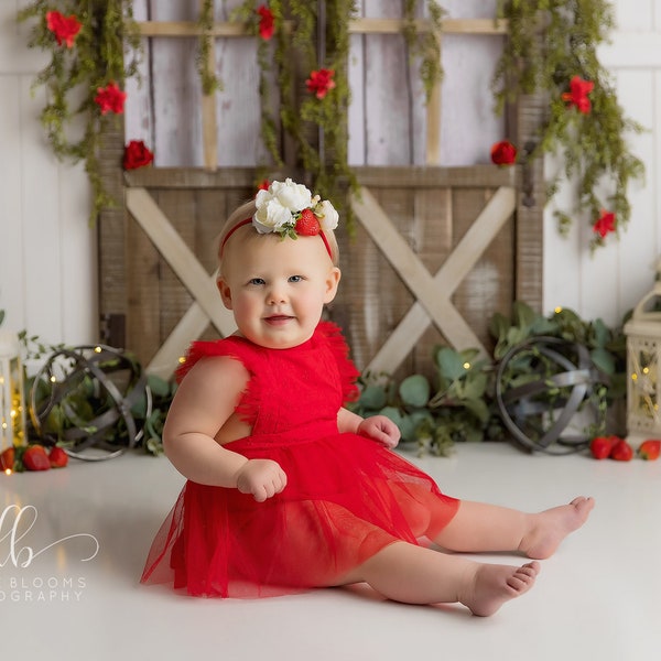 Strawberry baby dress,red baby girl dress,strawberry first birthday outfit,strawberry cake smash outfit,red sitter dress,half birthday dress