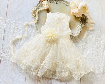 Items Similar To Ivory Lace Flower Girl Dress Country Western