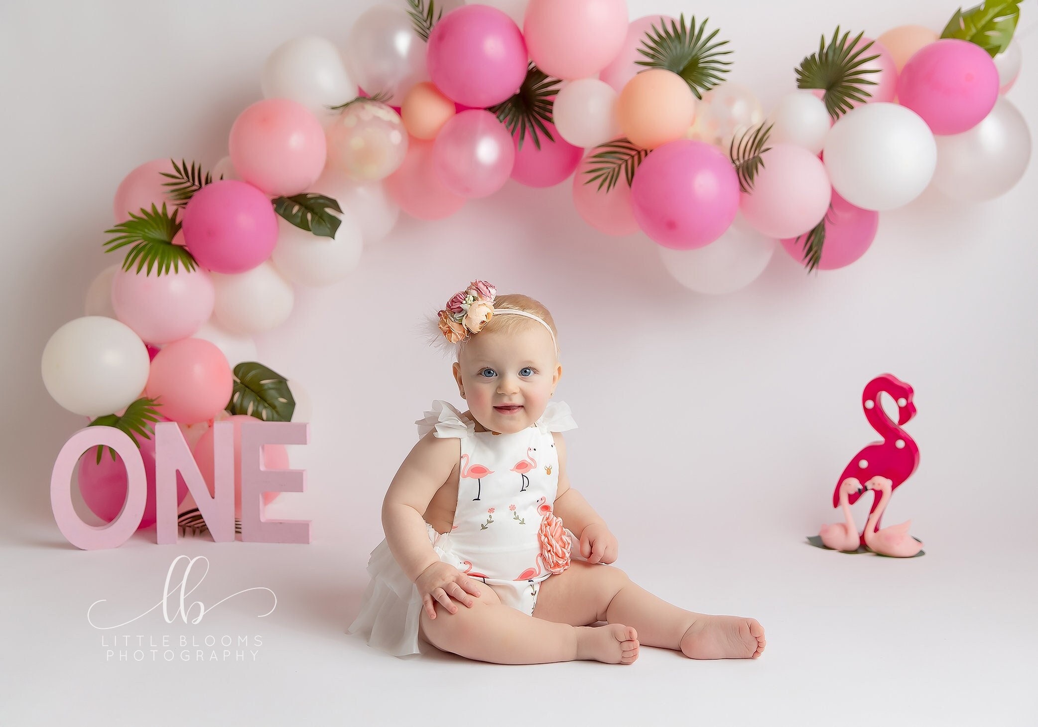 Buy Babeeni Flamingo embroidery baby dress online