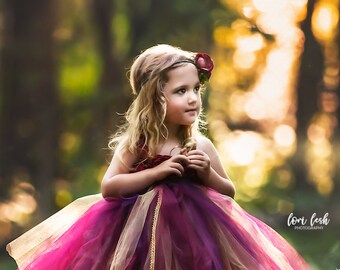 fall tutu dress